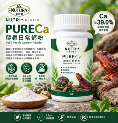 紐粹鮮 爬蟲日常鈣粉