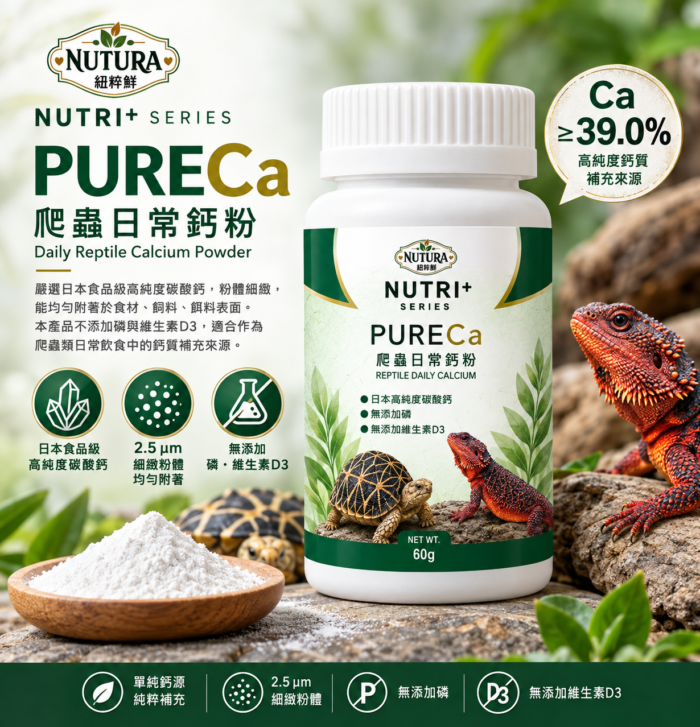 紐粹鮮 爬蟲日常鈣粉